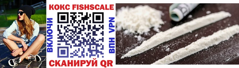 COCAIN Fish Scale  Купить закладки  Сосновый Бор 