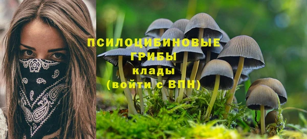 таблы Инсар