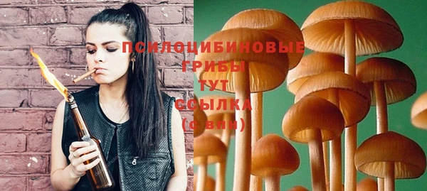 таблы Инсар