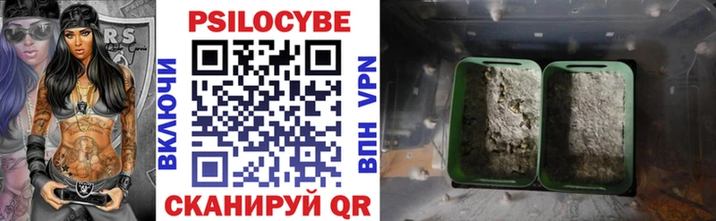 Псилоцибиновые грибы ЛСД  Купить где  Сосновый Бор 
